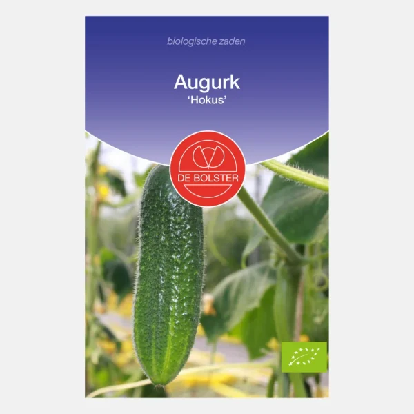 Augurk 'Hokus' BIO - 51Dnspod | Smaakvolle damp – Verzendkosten vrij vanaf 40€