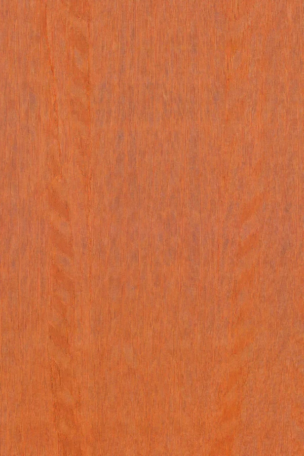 ARTE Amazone 2 Fierce 23507 - 51Dnspod | Smaakvolle damp – Verzendkosten vrij vanaf 40€