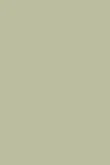 Casein Distemper | Vert De Terre no. 234 - 51Dnspod | Smaakvolle damp – Verzendkosten vrij vanaf 40€