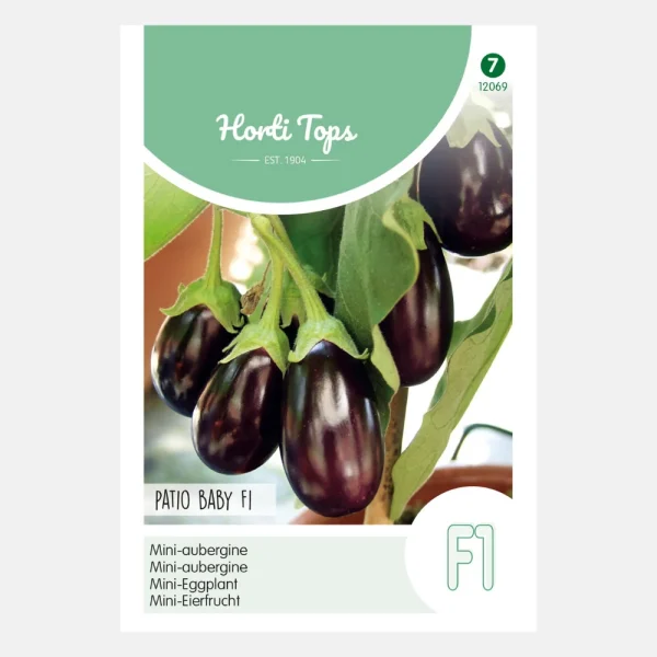 Aubergine 'Patio Baby' F1 - 51Dnspod | Smaakvolle damp – Verzendkosten vrij vanaf 40€
