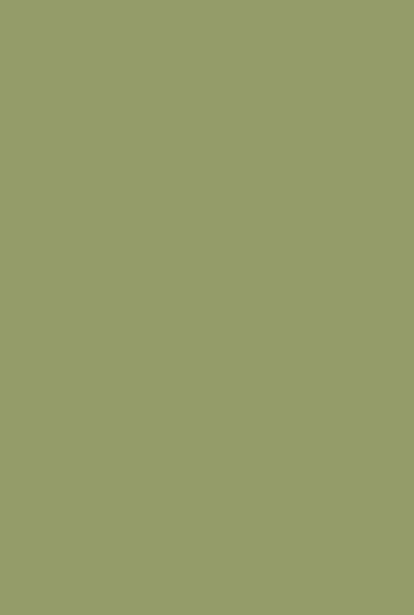 Casein Distemper | Olive no. 13 - 51Dnspod | Smaakvolle damp – Verzendkosten vrij vanaf 40€