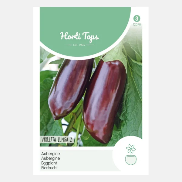 Aubergine 'Lange Violette' - 51Dnspod | Smaakvolle damp – Verzendkosten vrij vanaf 40€