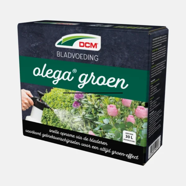 Bladvoeding Olega® Groen - 51Dnspod | Smaakvolle damp – Verzendkosten vrij vanaf 40€